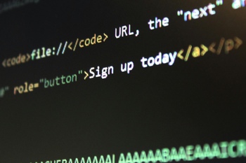 Website Designing